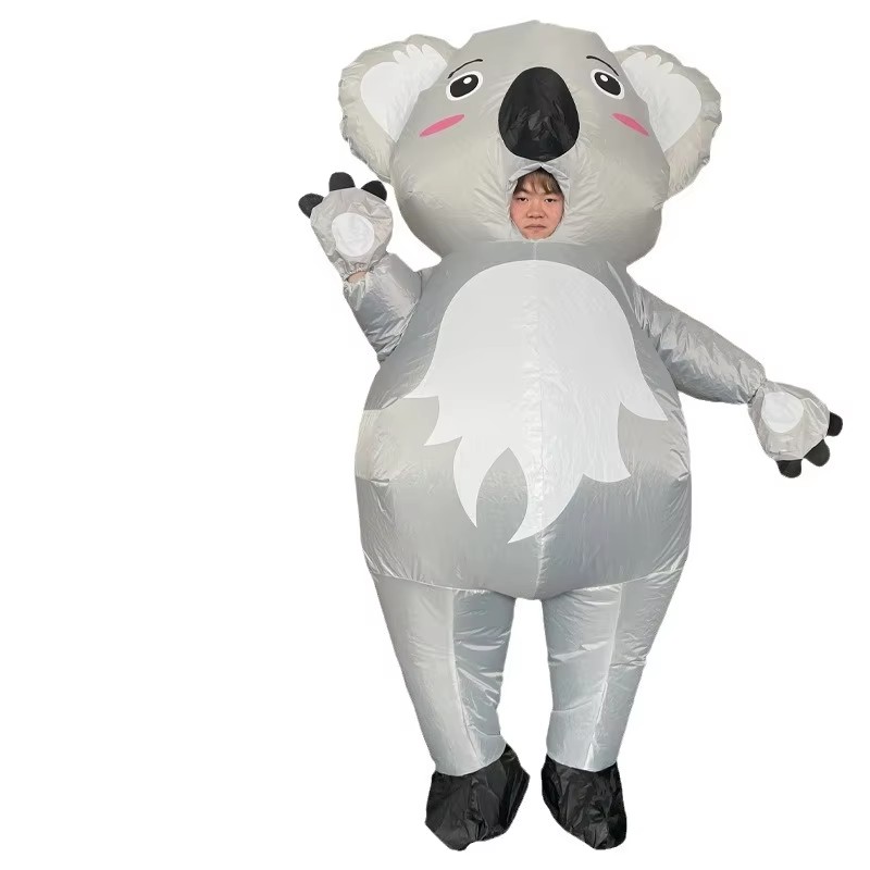 Koala  (1).jpg