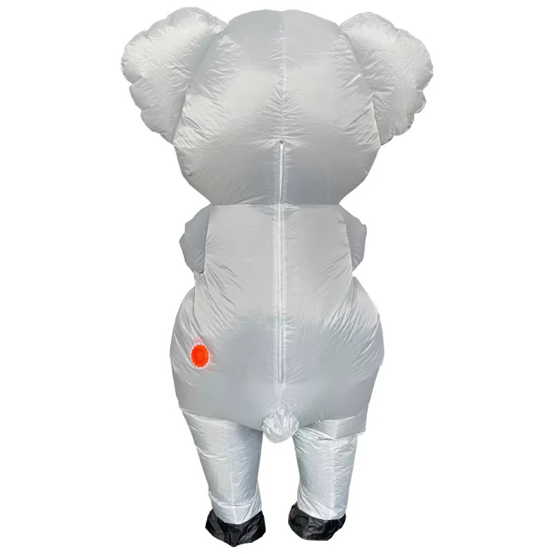 Koala  (3).jpg