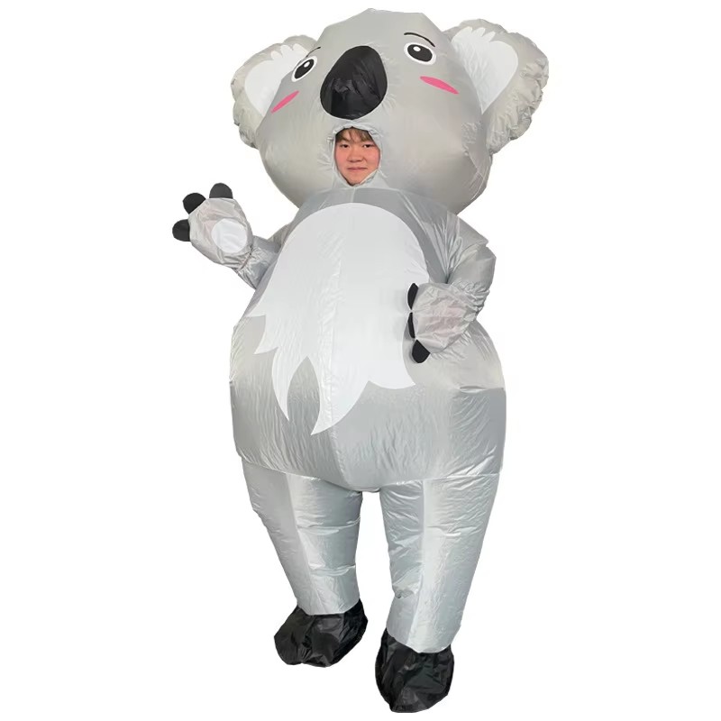 Koala  (4).jpg
